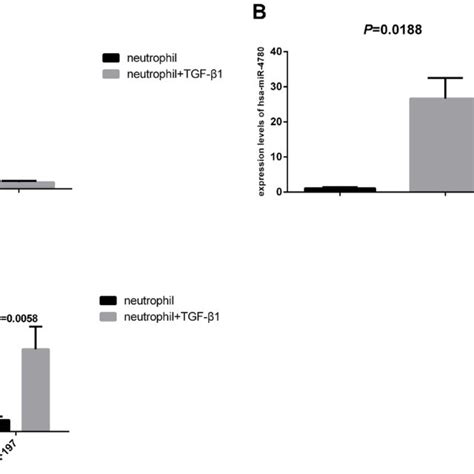 The Expression Levels Of Demirna Tusc And Znf A The Expression