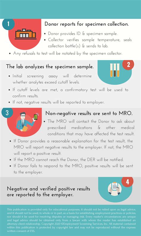 The Life Cycle Of A Drug Test Ghrr Dev3 Client Resource Library
