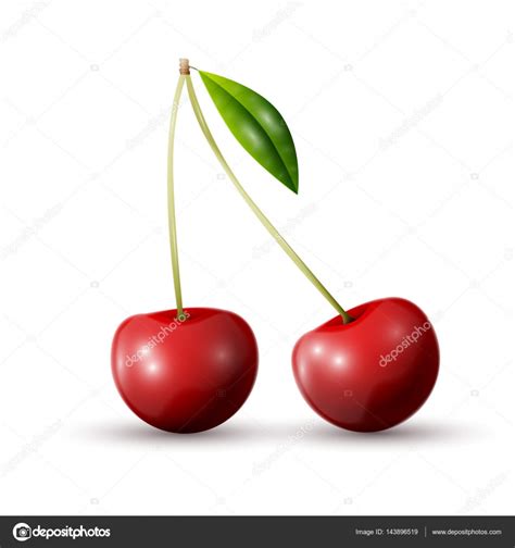 Red Cherry Berries Stock Vector Image By ©netkoff 143896519