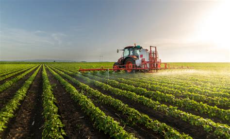 Agricultura: o que é, história, tipos, no Brasil - Mundo Educação