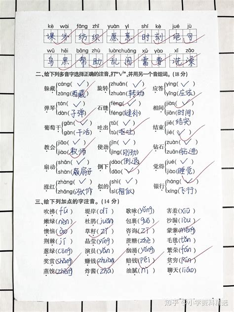 小学二年级下册语文《拼音与字词》专项练习题 知乎