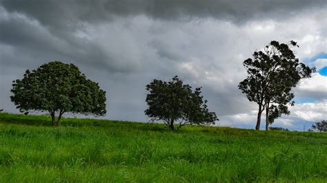 Pohon Padang Rumput Lanskap Foto Gratis Di Pixabay Pixabay