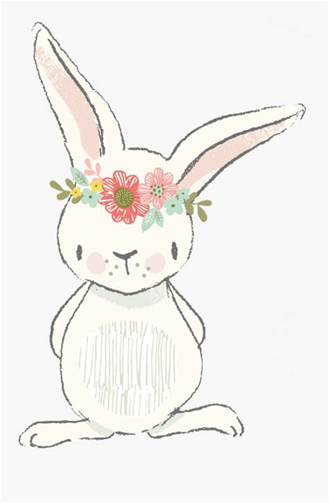 Cute Bunny Illustration , Free Transparent Clipart - ClipartKey