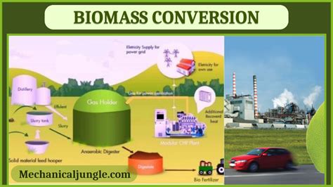 What Is Biomass Different Method Of Biomass Conversion Method Of