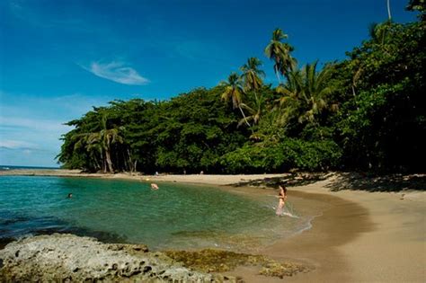 La Feria Legendaria De Playa Chiquita Puerto Viejo De Talamanca