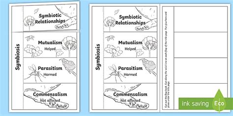 Symbiotic Relationships Flap Book for 3rd-5th Grade - Twinkl