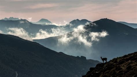 La Reserva De La Biosfera De Los Ancares Leoneses Estrena Nueva Web