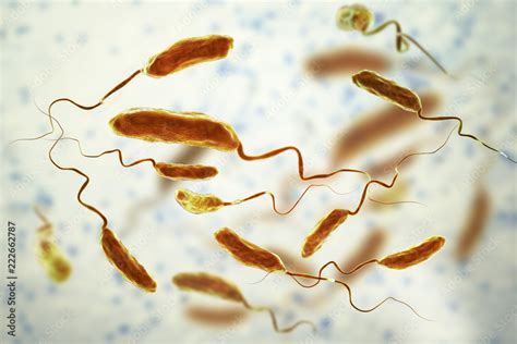 Vibrio Cholerae Bacteria 3d Illustration Bacterium Which Causes