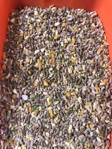 Pallets 3mm Flake Oyster Shell Grit Packaging Type Loose At Rs 8000tonne In Veraval