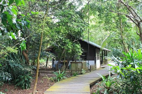 Searching For Crocodiles at Sungei Buloh Wetland Reserve, Singapore