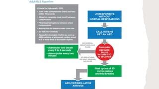 Chain Of Survival Bls Algorithm For Adult Pptx