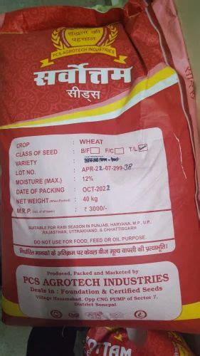 Natural Dbw 303 Wheat Seed For Food Processing Packaging Type Packet At Rs 40 Kg In Jakhalmandi