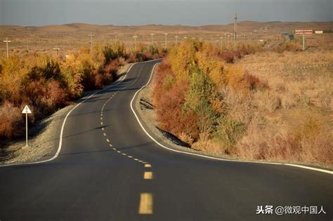 新疆这片沙漠天路、胡杨林太美，入冬风光如画，随手一拍就是大片 每日头条