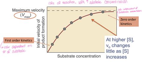 Enzyme Kinetics Flashcards Quizlet