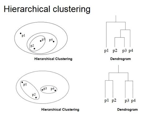 Introduction To Clustering Algorithms