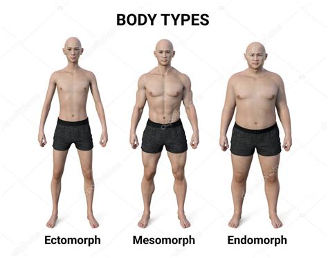 Ilustración 3d De Un Cuerpo Masculino Que Muestra Tres Tipos De Cuerpo Diferentes Ectomorfo