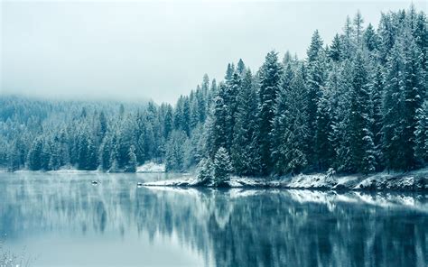 Serene Winter Reflections HD Nature Wallpaper