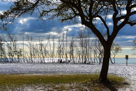 15 Best Things to Do in Pinellas Park (FL) - The Crazy Tourist