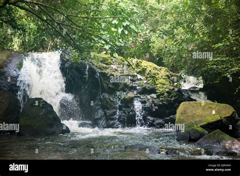 Raleigh waterfall, Central Suriname Nature Reserve, Suriname Stock Photo: 80423997 - Alamy