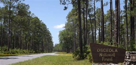 Florida's Baker County: Back Roads, Backwoods, Rich History