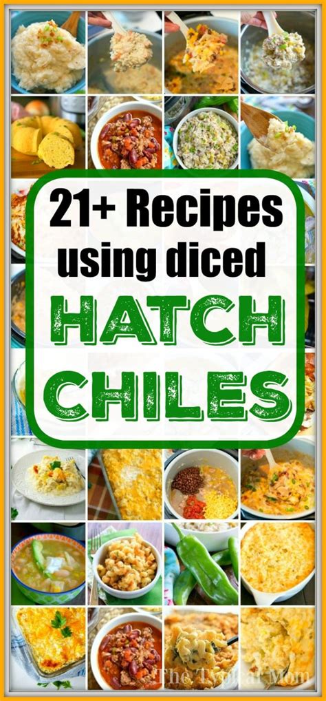 46 Best Hatch Chile Recipes - What to Make with Hatch Chiles