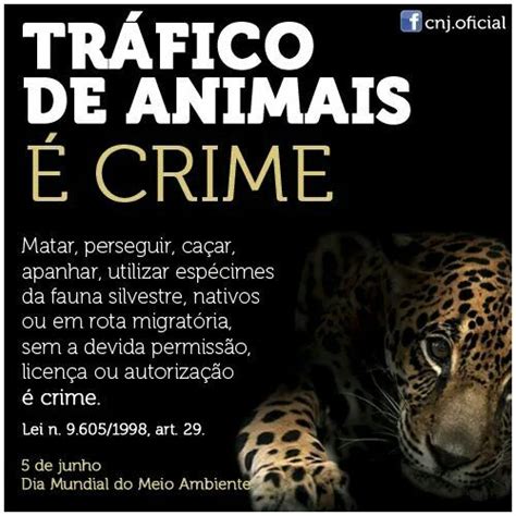 Contra o tráfico de animais Trafico de animais Animais silvestres