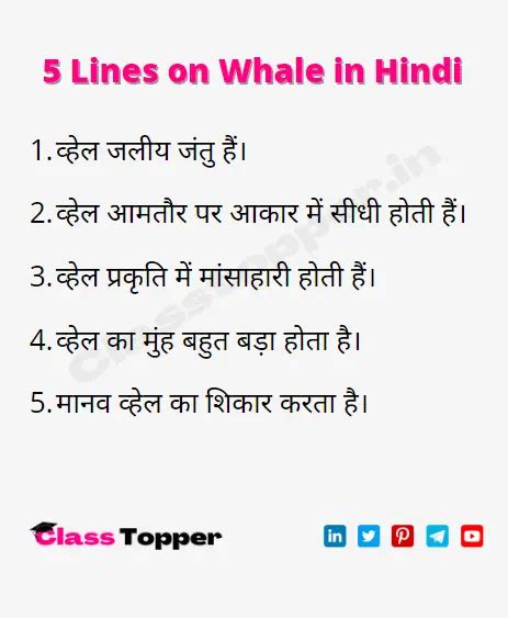 वहल क बर म 10 लइन 10 Lines on Whale in Hindi