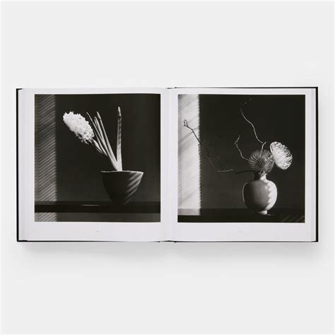 Mapplethorpe Flora Les Fleurs De Mapplethorpe La Mep