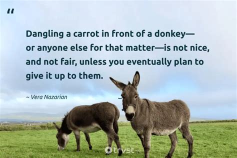 31 Donkey Quotes To Make You Smile And Think (2024)