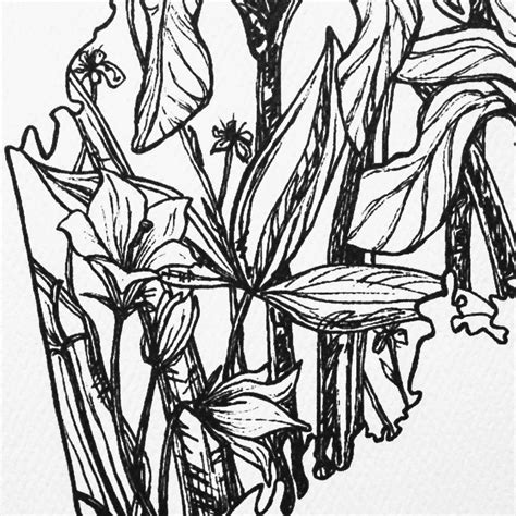 maine art maine print maine art print maine wall art maine etsy