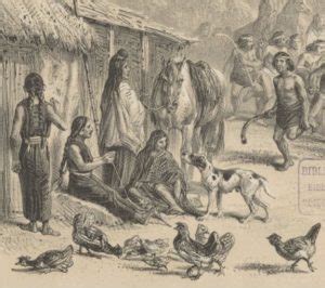 Mapuches Origen e historia características significado y más