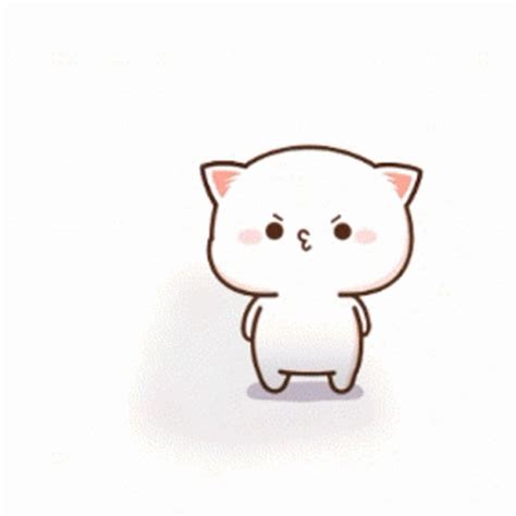 Animated Cat Gif File 900kb GIF | GIFDB.com