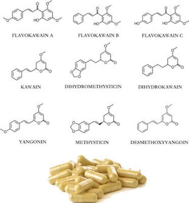 Effects of Kava - Best Fiji Kava Inc