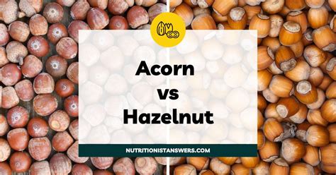 Acorn Vs Hazelnut Taste Nutrition Comparison Nutritionist Answers