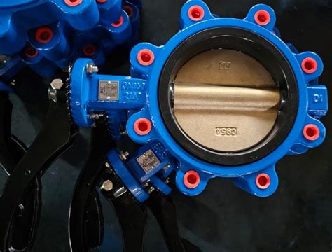 Manual Ductile Cast Iron Lug Type Butterfly Valve C Disc China