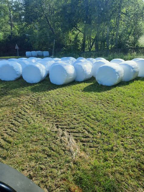 Silageballen Siloballen Kaufen Landwirt