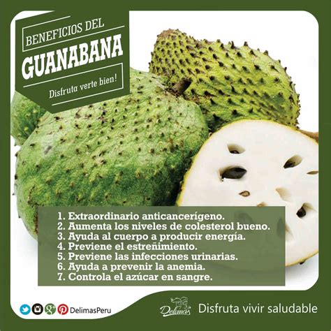 Guan Bana Beneficios El Mejor Anticancer Geno Blog Vive Sano