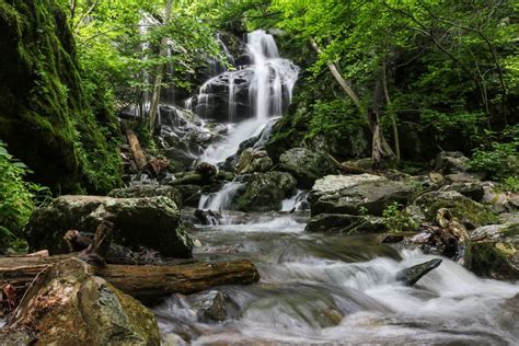 Shenandoah National Park Attractions: 9 Best Things to See & Do | Best ...