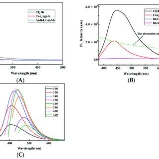 A Uv Vis Absorption Spectra Of Cqds Anti Lv Mab And The Conjugate Of