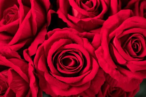 Primer Plano De Un Ramo De Rosas Artificiales Rojas Bajo Las Luces