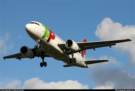 Cs Tto Tap Air Portugal Airbus A Photo By Akbarali Mastan Id