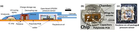 Hermetic Seal Technology Revolutionizing Advancements In Biomedical