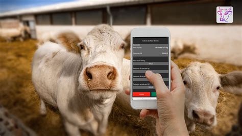Aplicativos Gratuitos Para Pesar Gado Conhe A As Melhores Op Es