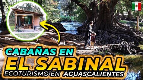 Conociendo las CABAÑAS del EL SABINAL Parque Ecológico en