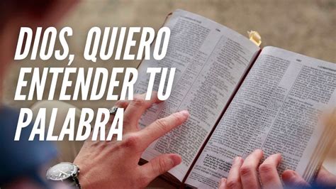 Oraci N Por Sabidur A Para Comprender La Biblia Oraciones Para Cada