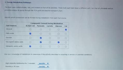 Solved Energy Metabolism Pathways The Body Uses Chegg