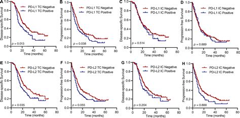 PDL1 And PDL2 Expression In Pancreatic Ductal Adenocarcinoma And