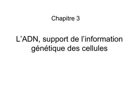 L Adn Support De L Information G N Tique Des Cellules