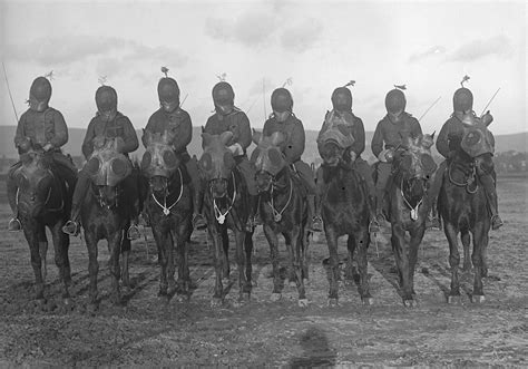 Veterinarians Kept Horses Healthy During First World War The Western