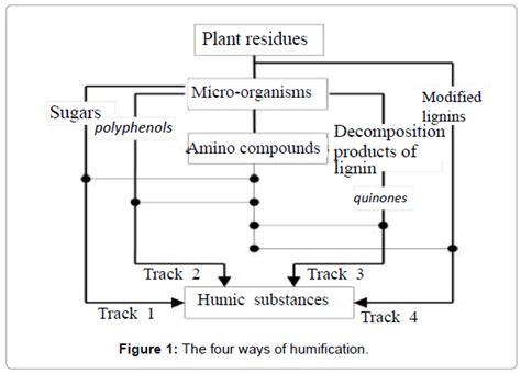 Application of Techniques Derived from the Study of Soil Organic